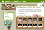 website spotlight